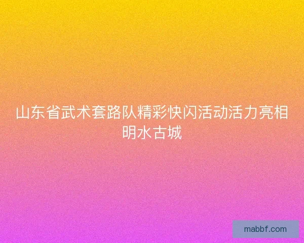 山东省武术套路队精彩快闪活动活力亮相明水古城